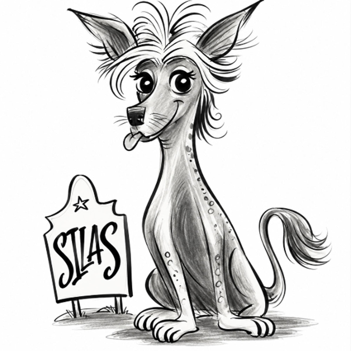 Pet Portrait